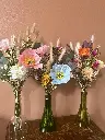 IMG_8452.webp