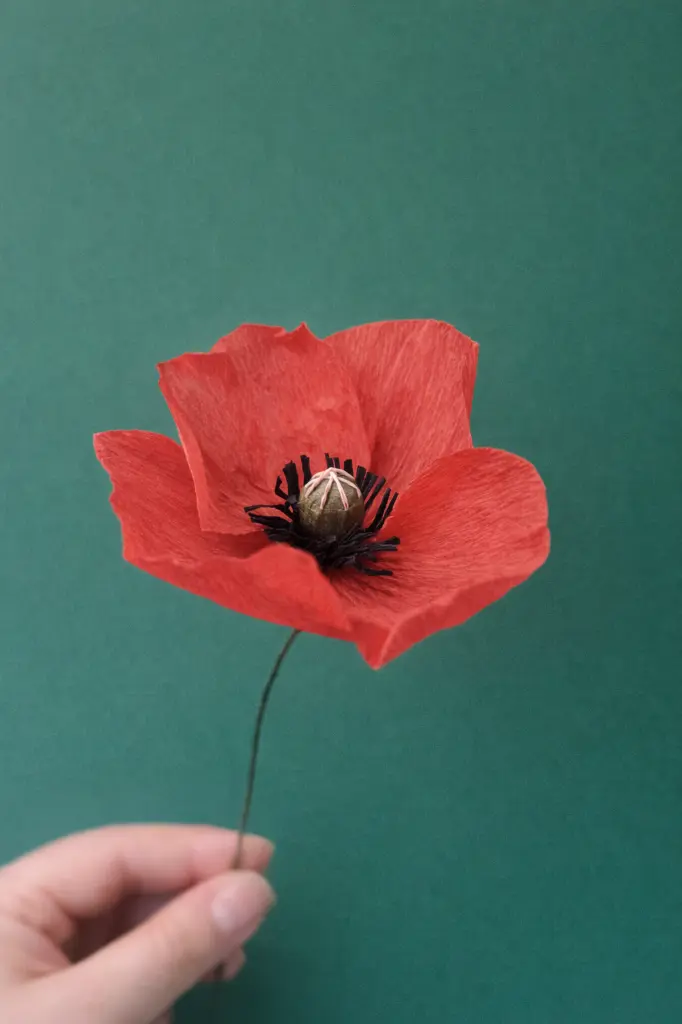 ChatGPT Image 23 janv. 2026, 09_10_39.webp