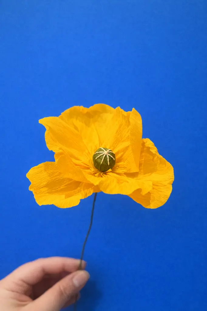 ChatGPT Image 23 janv. 2026, 15_12_27.webp