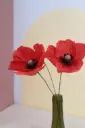 COQUELICOT
