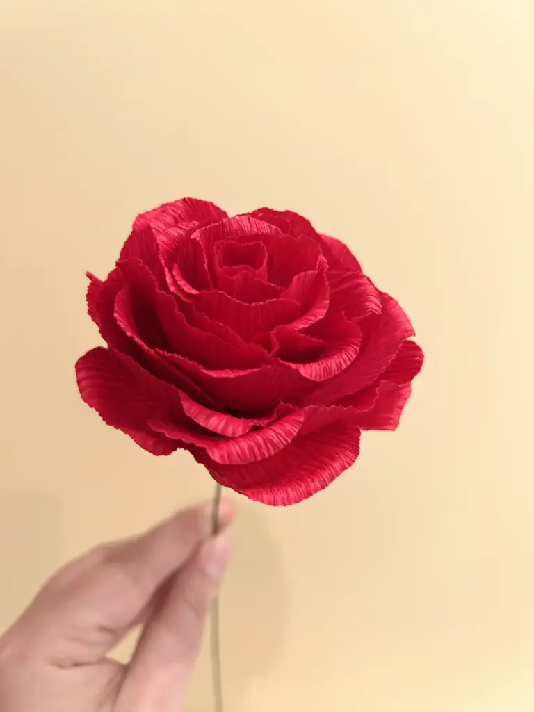 ROSE (ROUGE)